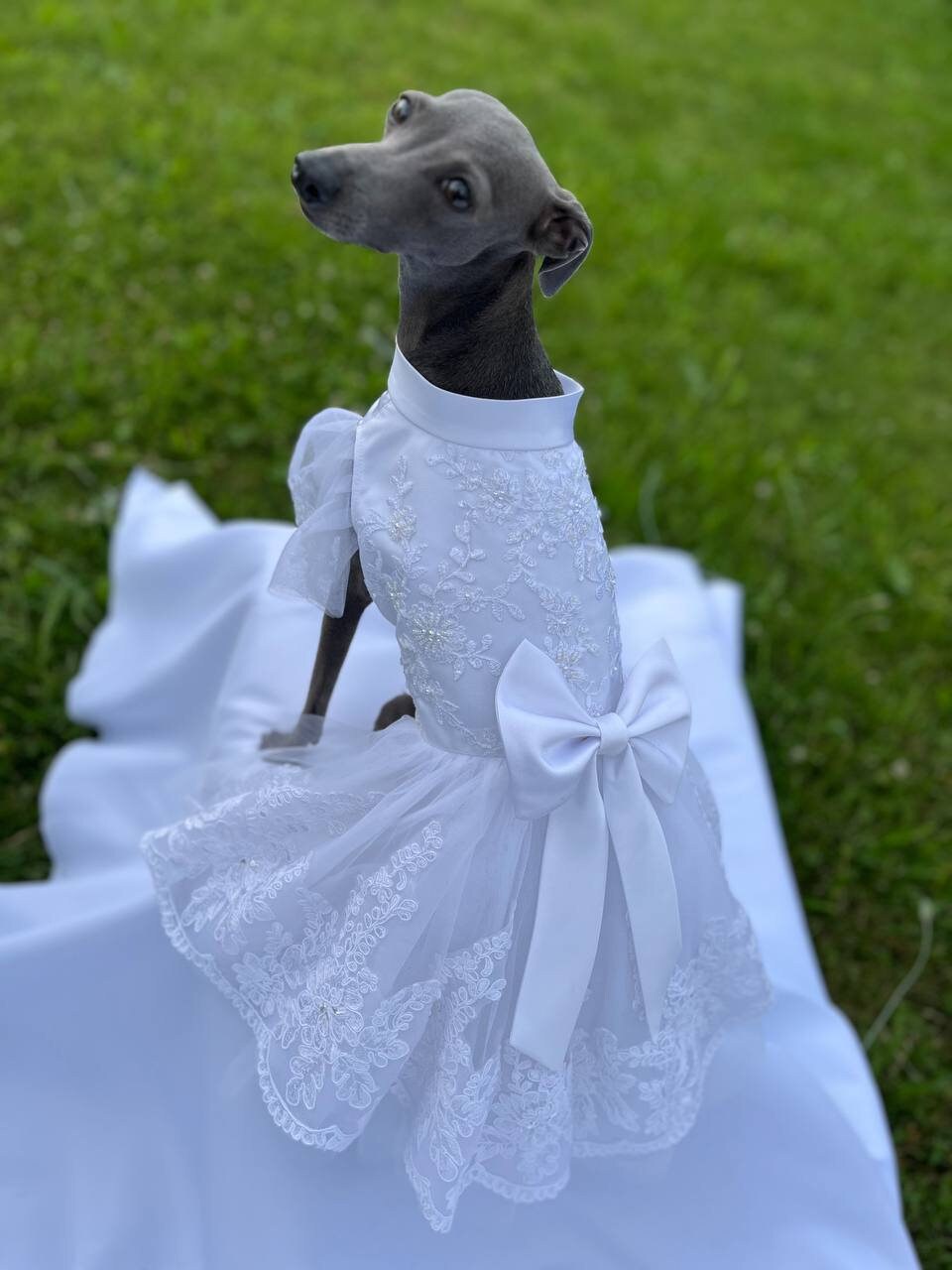 strapless open back dress Pink Flamingo and Palm Tulle Skirted Party Dog Dress – Daisey's Doggie Chic main image 0