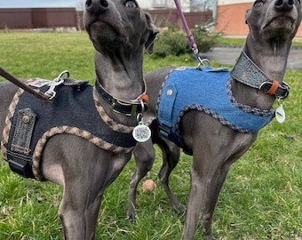 Dog harness, Denim dog harness, Dog denim, Small dog harness. Harness for iggy.