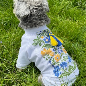 Ukrainian national dress Vyshyvanka/Clothes for dogs/Embroidery for dogs handmade/Funds to support Ukraine.