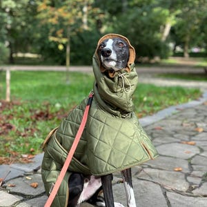 Khaki winter coat/ Warm coat for Greyhound and Whippet
