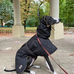 Warm coat for Whippet ,Italian Greyhound/ Black winter coat