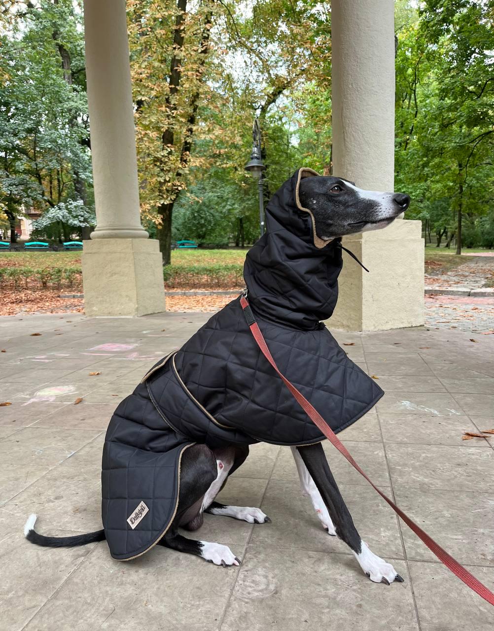 Warm Whippet Waterproof Coat UK