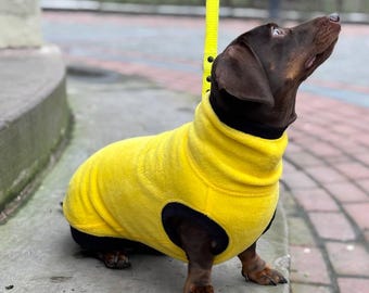 Dachshund sweater/ Fleece sweater-Yellow