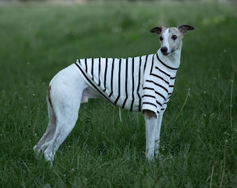 Striped Cotton Dog T-shirt: Whippet & Greyhound Summer Clothes