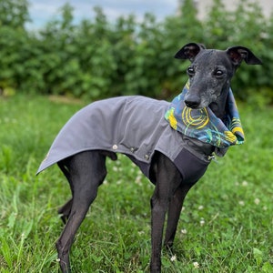 Gray Raincoat/Coat for Greyhound and Whippet/ Raincoat on fleece