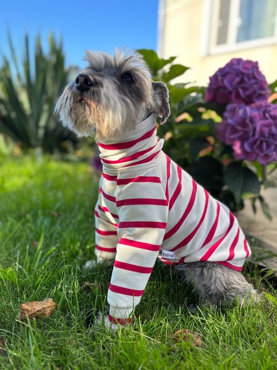 Dog Sweater/cotton Turtleneck for Small Dog/dog Clothes