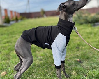 以下が含まれることがあります： ハイネックと長袖のグレーとブラックの犬用セーター。セーターは、緑の芝生の上に立っているグレーのイタリアングレイハウンド犬に着ています。