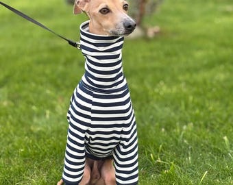 Striped Sweater for Italian Greyhound and Whippet/ Dog sweatshirt