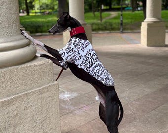 Cotton Dog T-Shirt: Italian Greyhound & Whippet Clothes