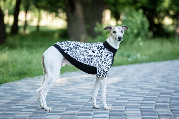 Leuke Hond Kleding Voor Honden Hoodies Grappige Fruit Hond Jas Puppy Pet Kleding Voor Honden Kostuum, Banaan, XXL 8,10 KG