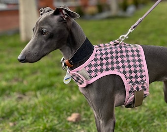 Hundegeschirr / Tweedgeschirr / personalisiertes Hundegeschirr / modisches Geschirr / kleines Hundegeschirr