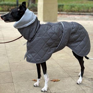 Gray coat for Whippet and Italian Greyhound/ Winter coat