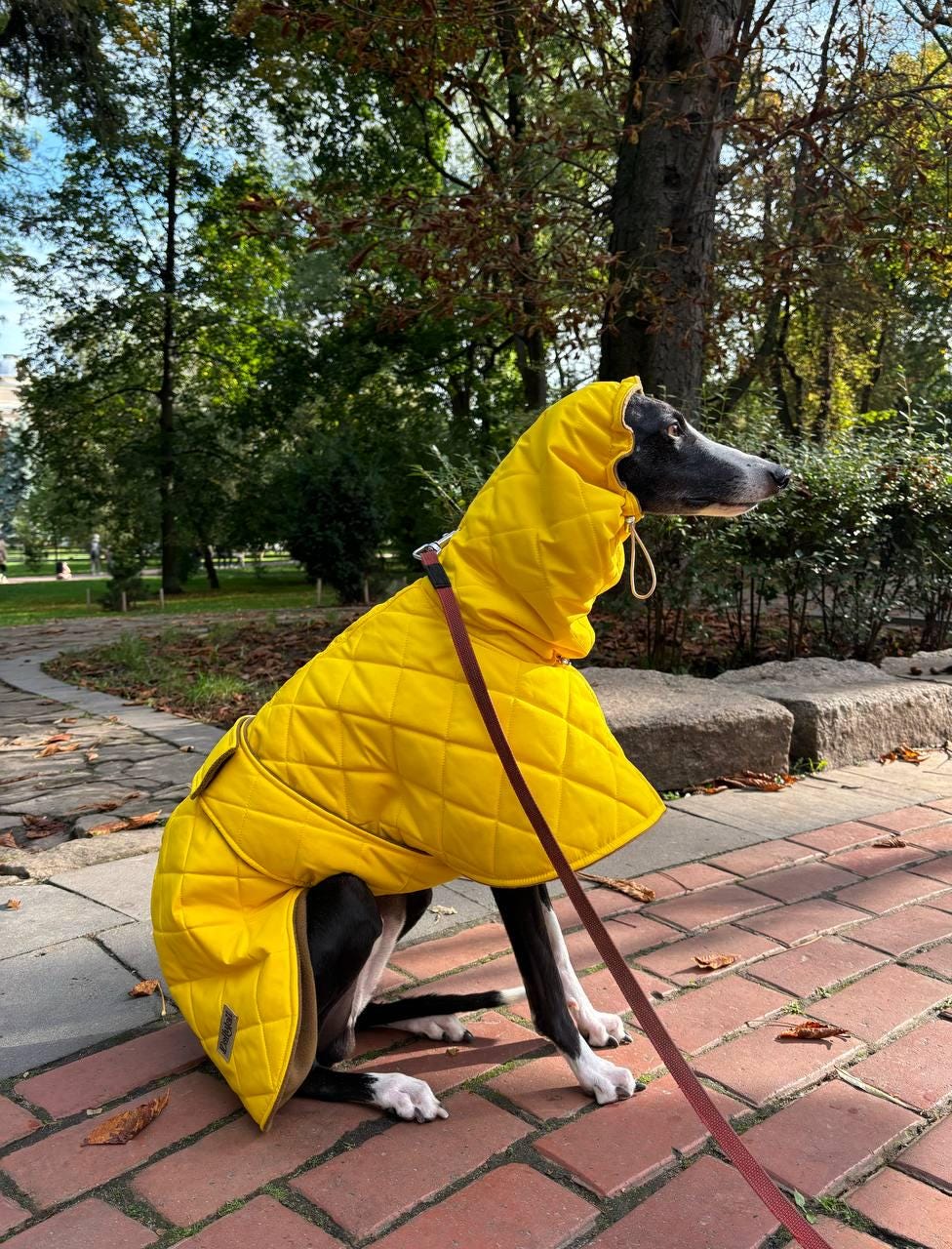 Warm coat for Greyhound and Whippet/ Yellow winter coat