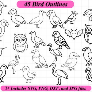Bird Outlines, Coloring SVG Clipart, Kid Party Coloring Activity, Svg Dxf Png Jpg, Clipart Stamp, Eagle Hawk Woodpecker Hummingbird Bluejay