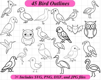 Bird Outlines, Coloring SVG Clipart, Kid Party Coloring Activity, Svg Dxf Png Jpg, Clipart Stamp, Eagle Hawk Woodpecker Hummingbird Bluejay