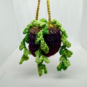 Crochet Hanging Plant