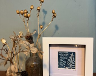 Original Botanical Cyanotype framed print – Mini Ferns Design (5"x5" frame)