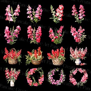 Snapdragon Collage Watercolor Snapdragon Clipart: Summer Flower Bouquet (PNG, Commercial ...