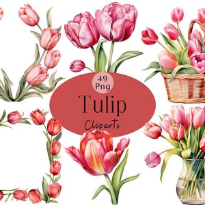 Watercolor Tulip Clipart Bundle Spring Tulips Bouquets Png Floral Frames Tulip Graphics For Paper Craft Wedding Invite Card Spring Post Card