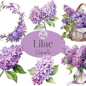 Pacote de clipart de aquarela lilás, flores de primavera lilás roxas, gráficos botânicos para artesanato em papel, convite de casamento, criação de diário