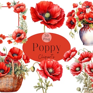 Lot de cliparts coquelicot aquarelle en fleurs Lot de cliparts png coquelicot rouge aquarelle fleur rouge pour scrapbooking, journalisation et fabrication de cartes