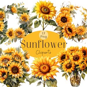 Watercolor Sunflower Clipart: Summer Floral PNG Bundle (Digital Download)