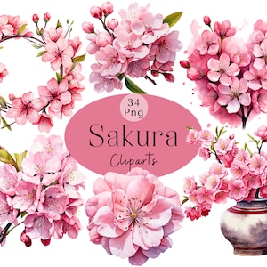 Aquarell Sakura Kirschblüte Png Frühling Blumen Png Bundle Japanischer Stil Sakura Garten Clipart Bundle Rosa Sakura Clipart Blumenzweig
