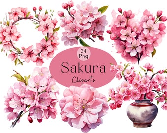 May include: 34 watercolor illustrations of pink cherry blossoms in various arrangements, including a wreath, bouquets, and a single blossom. The illustrations are perfect for adding a touch of spring to your designs.