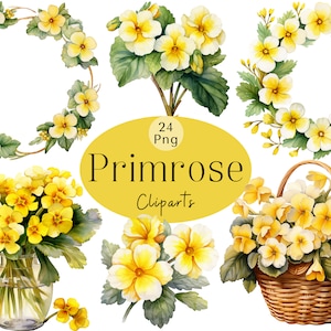 Watercolor Primrose Clipart: February Birth Flower PNG Bundle (Commercial Use)