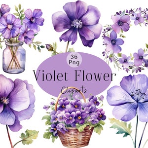 Flor Violeta Clipart Aquarela Hortênsia Clipart Pacote Roxo Hortênsia Planta Aquarela Primavera Violeta Floral Sublimação Uso Comercial