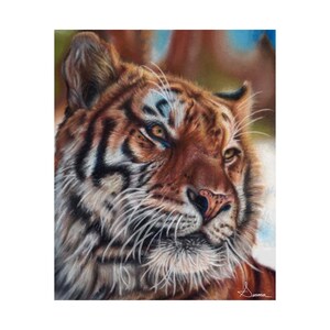 Tiger Art Print