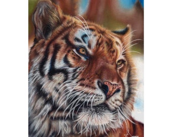 Tigre Lámina artística