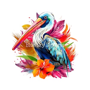 Pellicano PNG