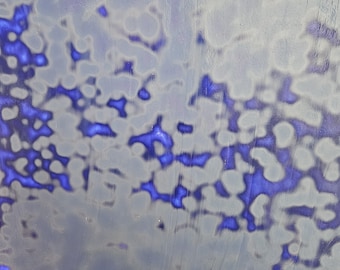 Cobalt Blue, Oceana, 302, stained glass sheet