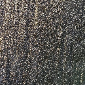 May include: Close-up of a dark, textured surface with a speckled pattern. The surface appears to be a dark color, possibly black or a very dark gray, with small, lighter-colored specks scattered across it.