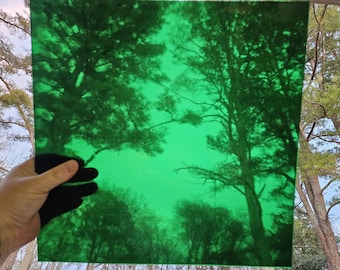 May include: A square, transparent, green-tinted sheet held up against a backdrop of trees and sky. The trees are silhouetted against the green, creating a layered effect. The sheet is held by a gloved hand, with the trees and sky visible through the green.