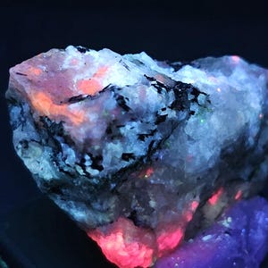 May include: A rough mineral specimen displaying fluorescent properties under ultraviolet light. The rock features a crystalline structure with white, grey, and black inclusions, glowing with vibrant neon orange and pink patches against a dark background.