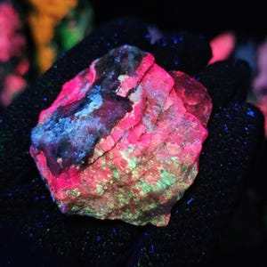 May include: A close-up of a glowing rock held in a gloved hand. The rock has a vibrant pink and red hue, with patches of blue and green. The texture appears rough and crystalline, with visible ridges and crevices.