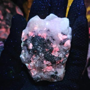 May include: A mineral specimen held in a gloved hand. The rock has a light pink and white base colour with patches of black and bright pink fluorescence. The background is dark.