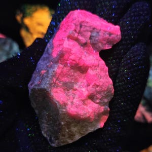 May include: A close-up of a glowing pink mineral specimen held in a black gloved hand. The rock has a rough, textured surface and is illuminated with bright pink light. The background is dark, with hints of other objects.