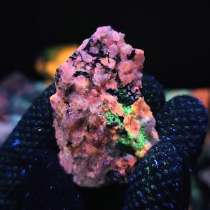 May include: A close-up of a fluorescent mineral specimen. The rock shows a mix of colours, including pink, orange, green, and black. The mineral is held in a gloved hand, with a dark background.