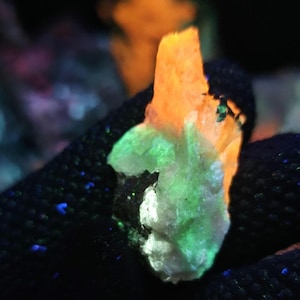 May include: A close-up of a mineral specimen illuminated by a black light. The mineral exhibits a striking colour scheme of bright orange, green, and white. The background is dark, with scattered blue and green specks.
