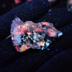May include: A glowing mineral specimen with an irregular shape. The rock shows a mix of colours, including pink, orange, black, and white, under a black light. The surface has a rough, textured appearance, with small dark spots.
