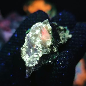 May include: A close-up of a small, irregularly shaped rock with a light-coloured, textured surface. The rock has a pinkish interior and is surrounded by dark, speckled material. The image is illuminated with a blue light, creating a glowing effect.