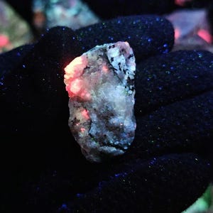 May include: A fluorescent mineral specimen, displaying a range of colours. The rock has a textured surface with white, grey, and black patches. It glows with red and orange hues, alongside blue and green, indicating fluorescence under UV light.