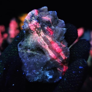 May include: A glowing, irregular-shaped rock with vibrant red and blue fluorescence. The rock's surface has a textured appearance, with streaks of red and pink against a darker background. The image is taken in a dark environment, highlighting the rock's luminescence.