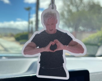 Ryan Gosling Ken Heart Hands Car Air Freshener | New Car Scent