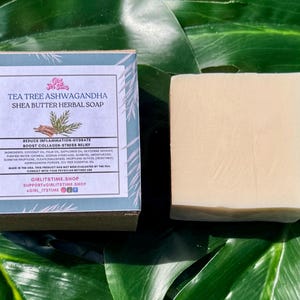 May include: A bar of shea butter herbal soap and its box are displayed on a green leaf. The box has a blue and white label with text that reads "Tea Tree Ashwagandha Shea Butter Herbal Soap." The soap is a light beige color.