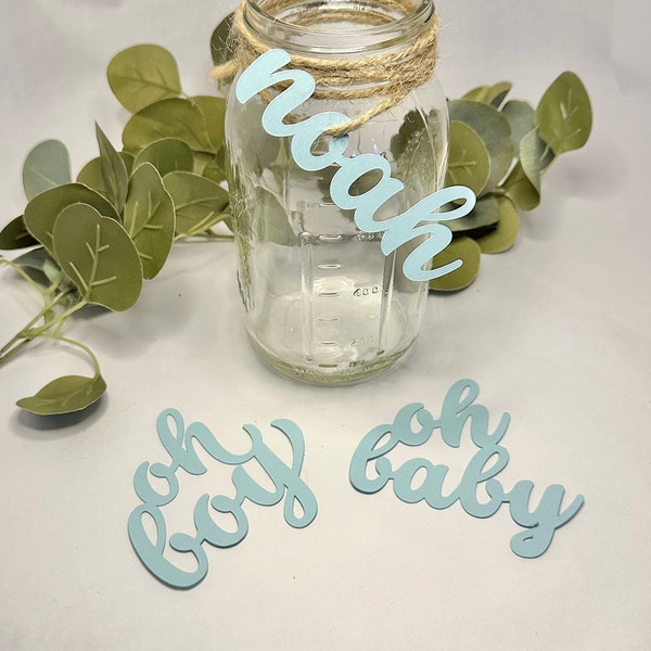 Blue Baby Shower Decor Party Theme Idea Customized Name Welcome Winter Wonderland Baby Tag Whimsical Trendy Idea Cutout First Birthday Decor