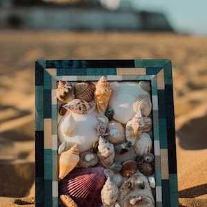 May include: A framed seashell mosaic with a variety of shapes, sizes, and colors. The frame is made of wood with a blue and green checkered pattern.